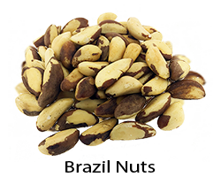 Brazil Nuts